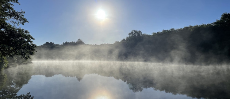 Redwood lake sunrise