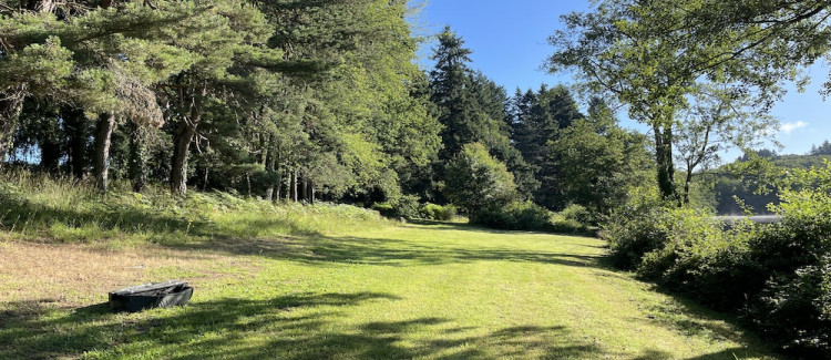 Redwood lake grass bank